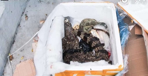 Pesan suplemen kesehatan, yang didapat wanita ini malah bikin bergidik