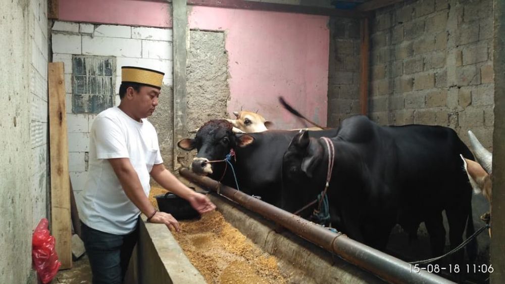 3 Seleb Tanah Air ini ternyata bisnis hewan ternak, laris di Idul Adha