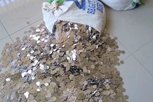 Kecewa, pria ini bayar uang cerai Rp 178 juta pakai uang receh