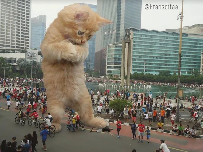 15 Foto editan kucing raksasa ini bikin gagal takut, malah ingin peluk
