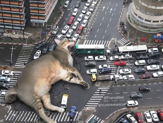 15 Foto editan kucing raksasa ini bikin gagal takut, malah ingin peluk