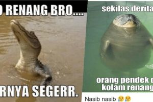 7 Meme berenang ini bikin kamu ketawa sambil ngapung