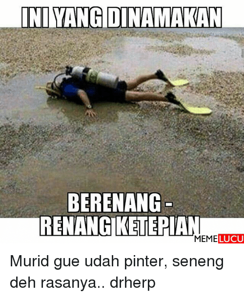 7 Meme berenang ini bikin kamu ketawa sambil ngapung