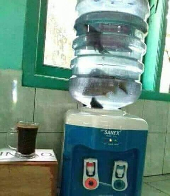 10 Benda ini bikin kamu bertanya-tanya apa fungsinya, nyeleneh abis