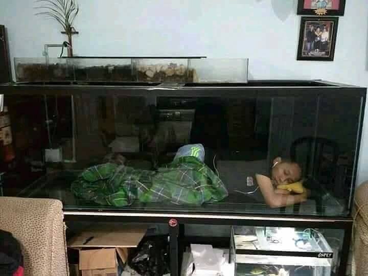 10 Benda ini bikin kamu bertanya-tanya apa fungsinya, nyeleneh abis