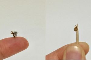 10 Miniatur hewan ini besarnya 5 mm, detailnya sungguh mengagumkan