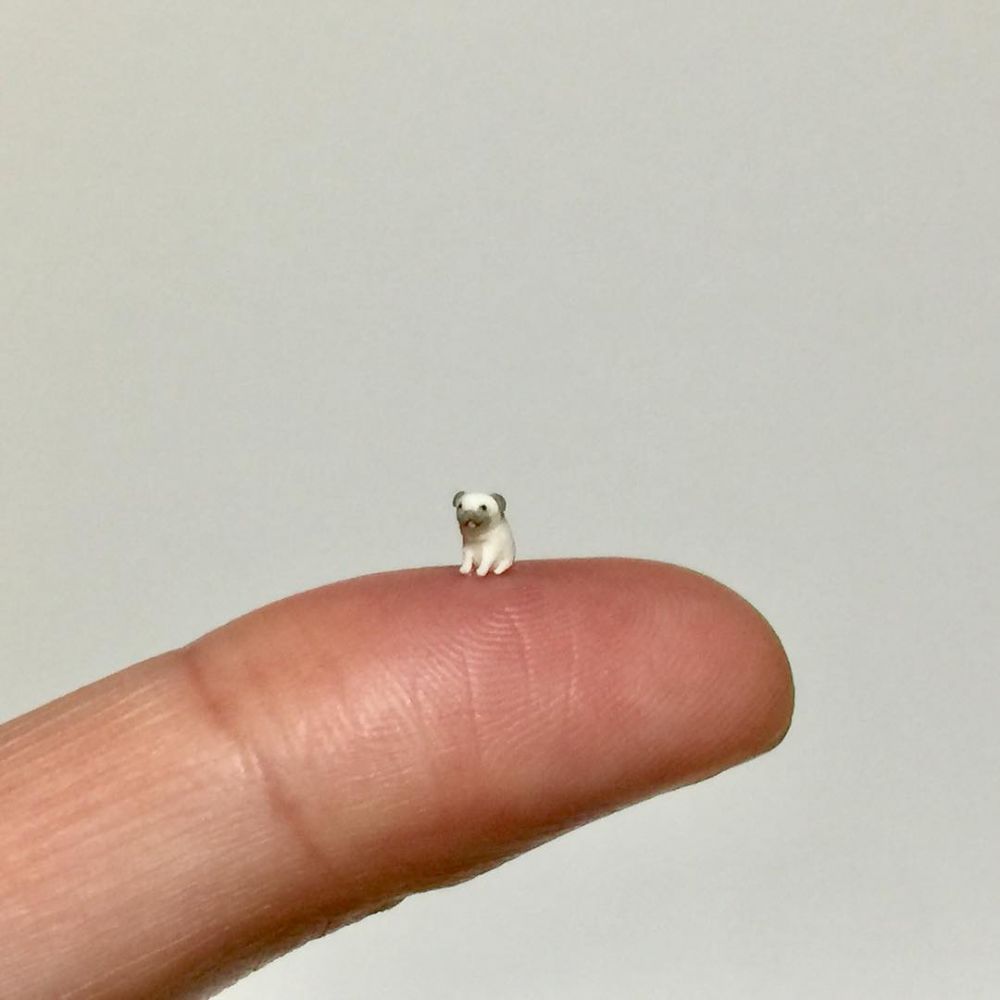 10 Miniatur hewan ini besarnya 5 mm, detailnya sungguh mengagumkan