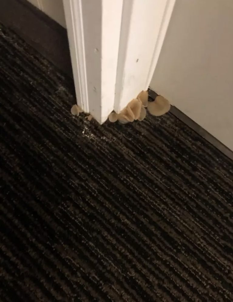 10 Potret hotel dengan desain gagal, bikin mikir ulang mau bermalam