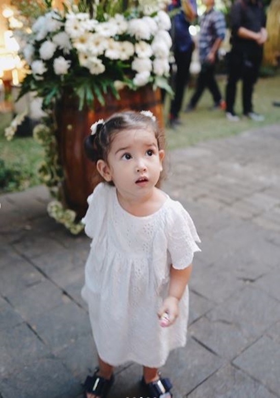 Digelar tertutup, ini 10 momen resepsi pernikahan Kimberly & Edward