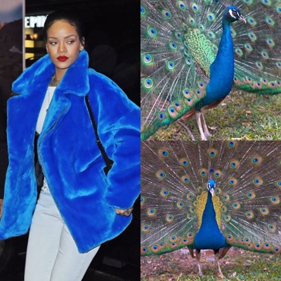 10 Cocoklogi Rihanna bergaun nyentrik dengan burung, bikin cekikikan