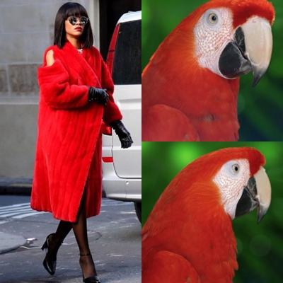 10 Cocoklogi Rihanna bergaun nyentrik dengan burung, bikin cekikikan