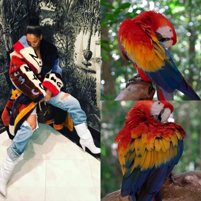 10 Cocoklogi Rihanna bergaun nyentrik dengan burung, bikin cekikikan
