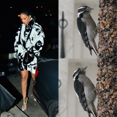 10 Cocoklogi Rihanna bergaun nyentrik dengan burung, bikin cekikikan