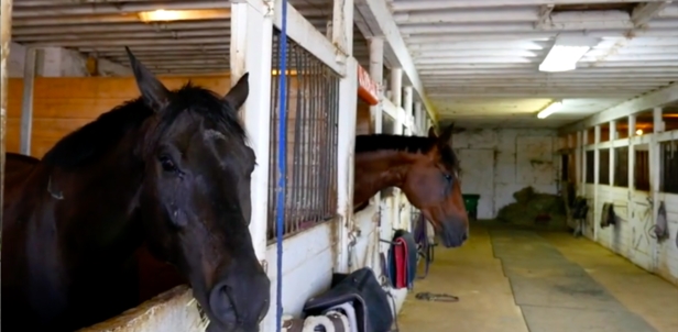 Potret 10 sudut rumah Justin Bieber & Hailey Baldwin, seharga Rp 73 M