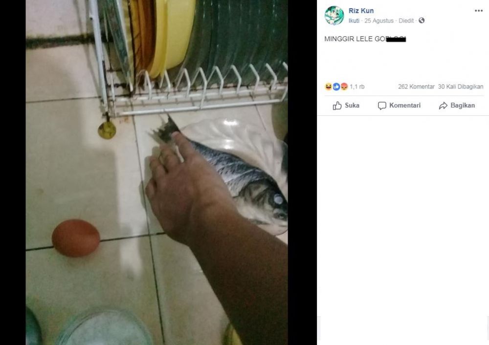 Tutorial bikin nasi campur ala Jepang ini kocak, hasilnya tak terduga