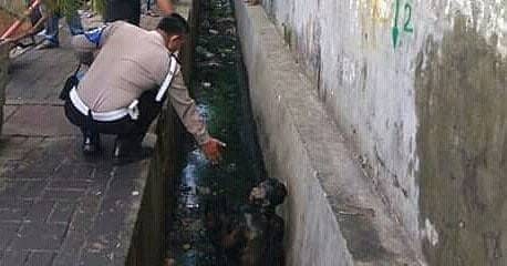 8 Momen bocah lagi apes ini bikin pengen ketawa tapi kasihan