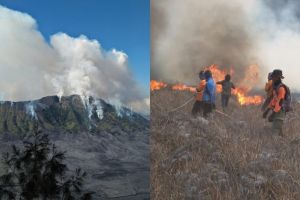 Momen detik-detik Bukit Teletubbies Bromo terbakar