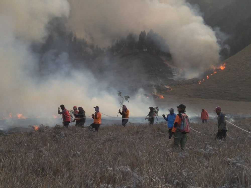 Momen detik-detik Bukit Teletubbies Bromo terbakar