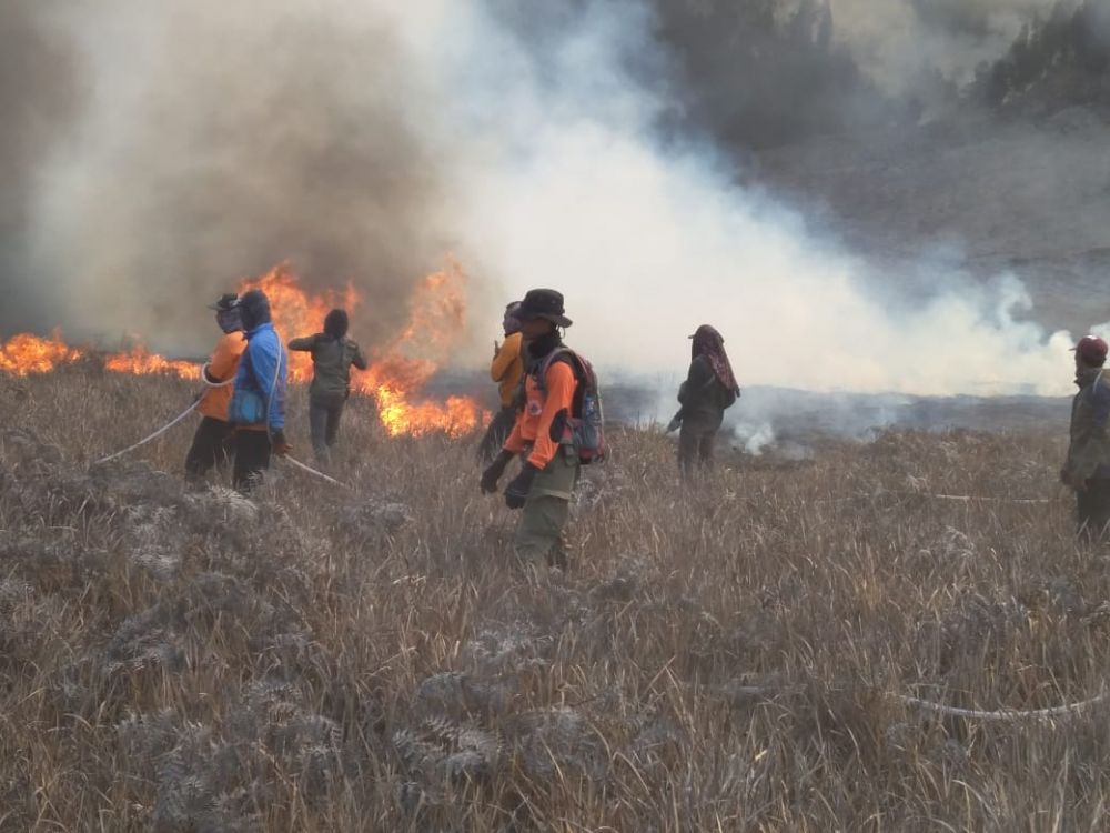 Momen detik-detik Bukit Teletubbies Bromo terbakar
