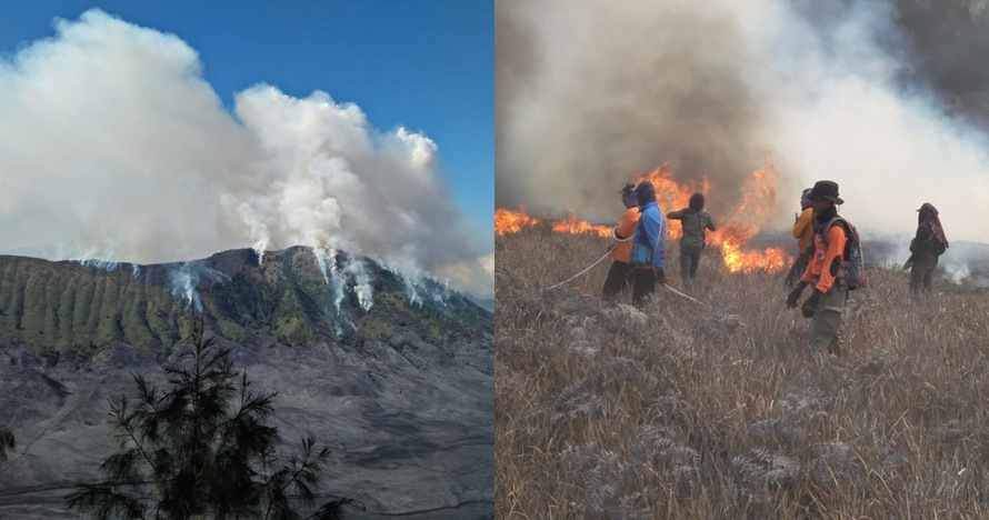 Momen detik-detik Bukit Teletubbies Bromo terbakar