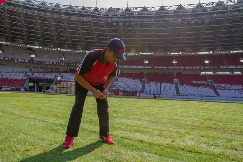 Dipakai acara penutupan Asian Games, begini kondisi rumput Stadion GBK