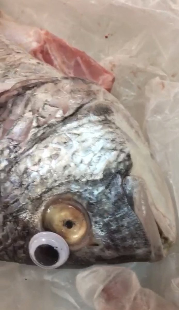 Miris, cara penjual bikin ikan tetap tampak segar ini tak layak ditiru