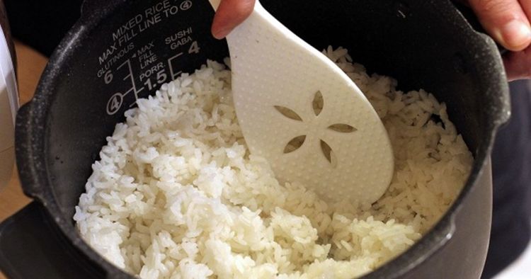 Terungkap, ini teori fisika jelaskan nasi cepat basi di rice cooker
