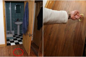 Pria ini temukan pintu rahasia di apartemen barunya, isinya serem abis