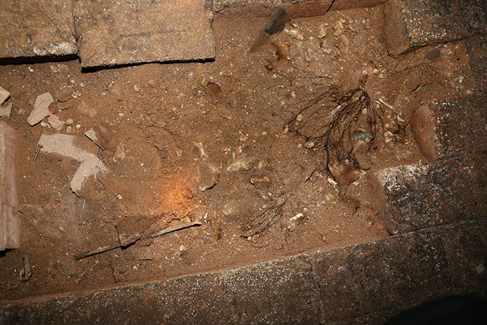 Pria ini temukan pintu rahasia di apartemen barunya, isinya serem abis