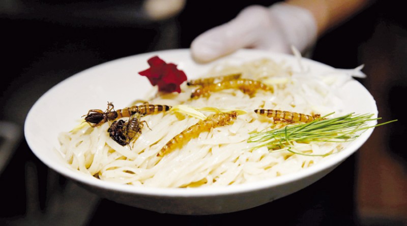 6 Kreasi ramen lain dari biasanya, ada kuah cokelat & toping serangga