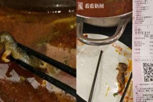 Gara-gara heboh berita tikus di sup, restoran ini merugi Rp 2,8 T 