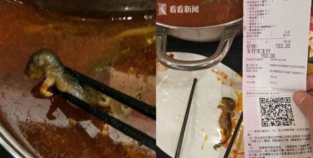 Gara-gara heboh berita tikus di sup, restoran ini merugi Rp 2,8 T 