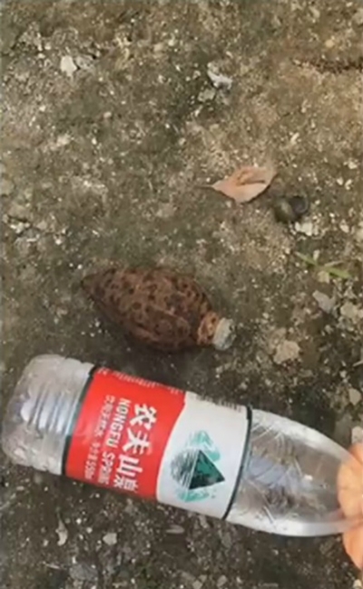 Nenek ini baru sadar beri granat untuk mainan cucunya selama 3 tahun