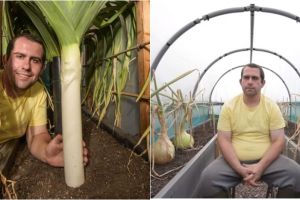 Potret kebun sayuran raksasa ini dijamin bikin ibu-ibu bengong