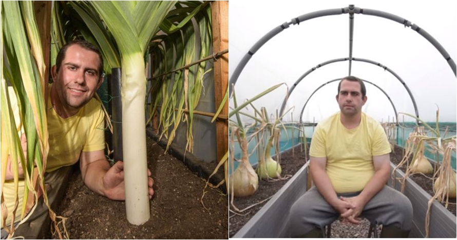 Potret kebun sayuran raksasa ini dijamin bikin ibu-ibu bengong