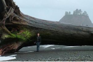 Terdampar di pinggir pantai, 10 benda temuan ini sungguh mengejutkan