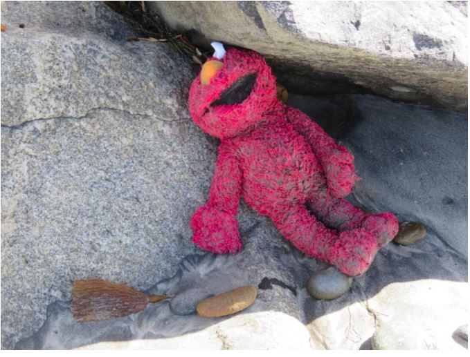 Terdampar di pinggir pantai, 10 benda temuan ini sungguh mengejutkan