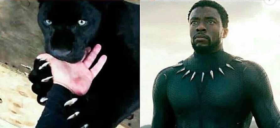 10 Cocoklogi asal-usul superhero dan realita kehidupan ini kocak pol