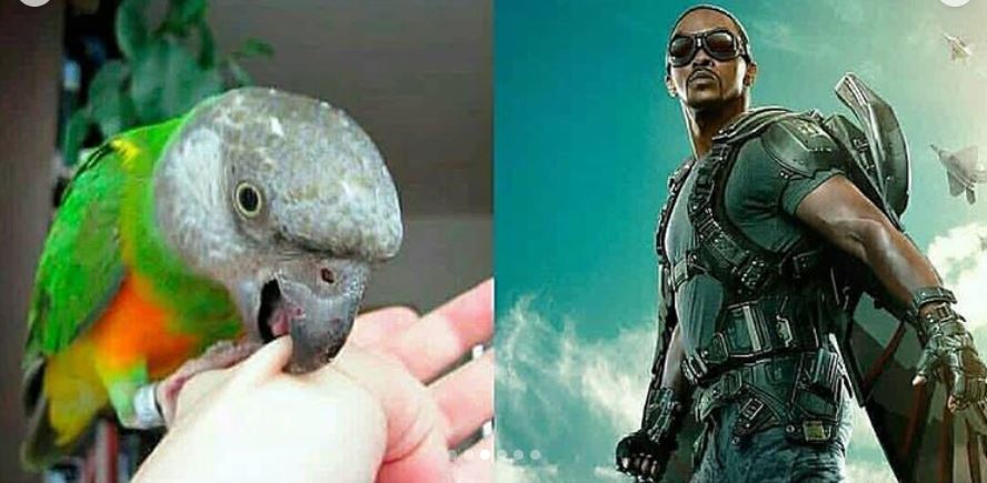 10 Cocoklogi asal-usul superhero dan realita kehidupan ini kocak pol