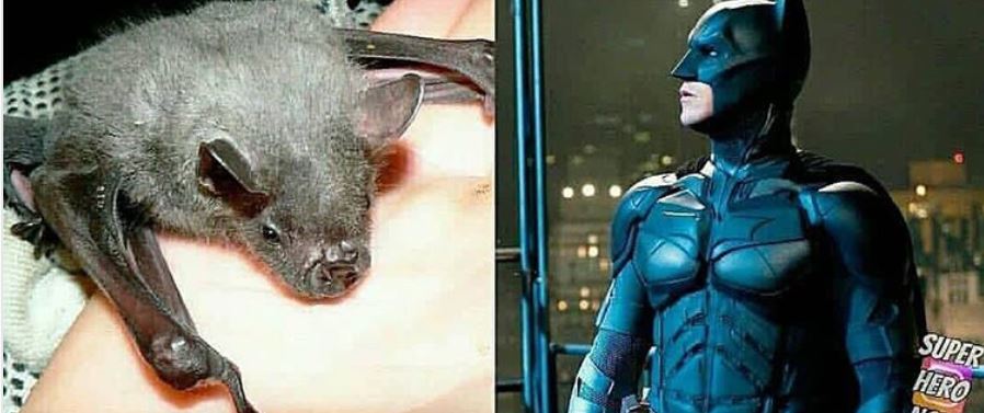 10 Cocoklogi asal-usul superhero dan realita kehidupan ini kocak pol