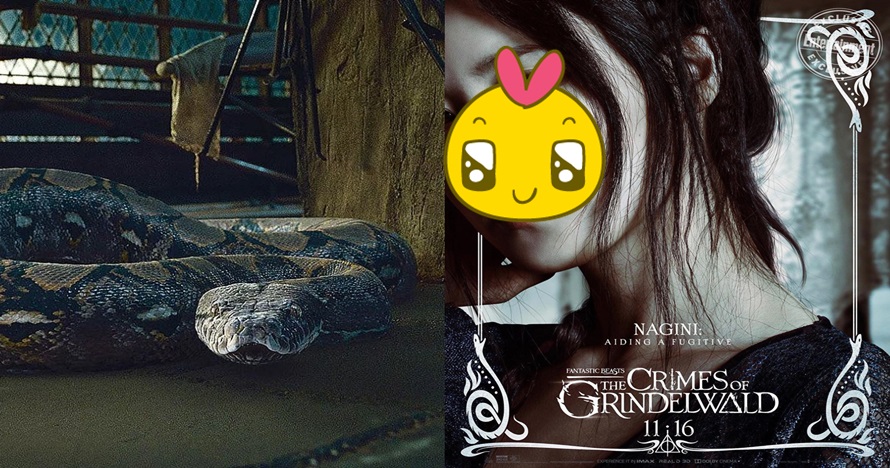 Misteri ular Nagini Voldemort terungkap, asalnya dari Indonesia