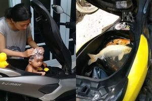 5 Kelakuan absurd orang memanfaatkan bagasi motor ini gereget abis 