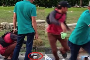 Niatnya selamatkan anak anjing, nasib 2 pria ini malah apes banget