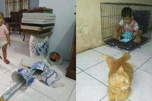 10 Tingkah polos balita ini kocaknya bikin beban hidup berkurang