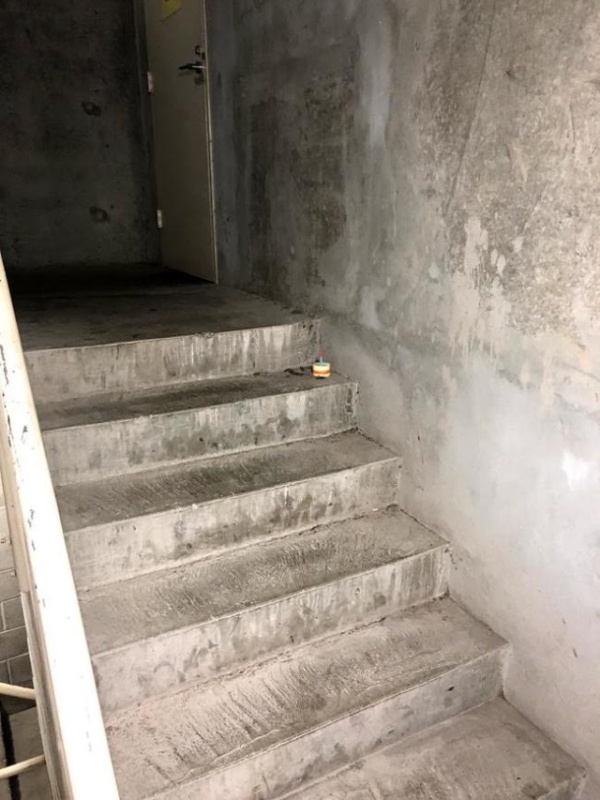 Temukan kecoa mati sendirian, pria ini lakukan 8 aksi kocak 