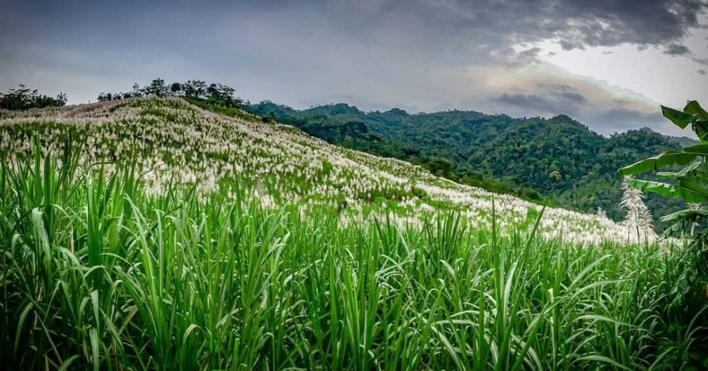 6 Tempat wisata di Jogja ini bisa bikin instagram kamu kebanjiran like