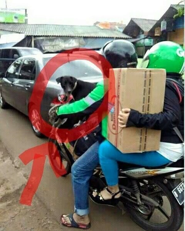 8 Potret kelakuan penumpang ojek online ini bikin ketawa tepuk jidat