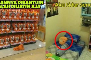 7 Meme ekspresi boneka pas dengan keadaan ini bikin geli gimana gitu