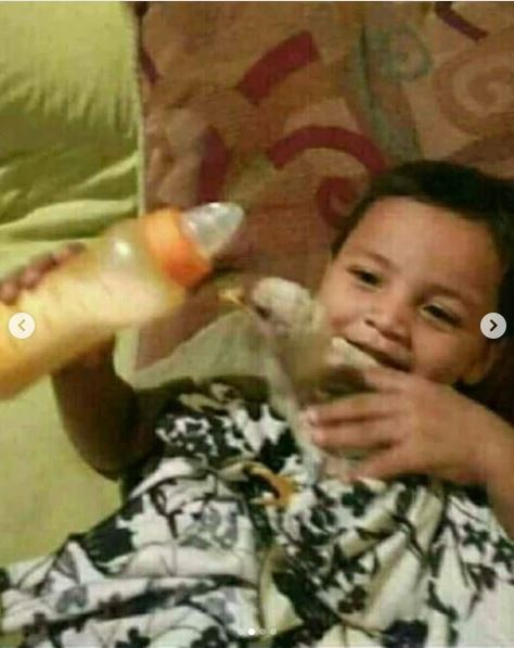 7 Potret pertemanan manusia dan hewan ini akrabnya bikin ngakak