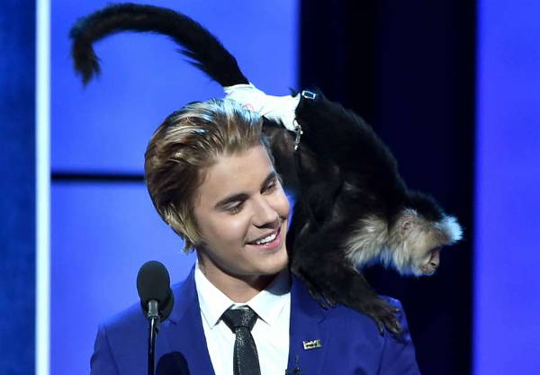 7 Selebriti ini punya peliharaan unik, dari harimau sampai walabi